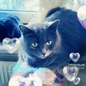 Princess3