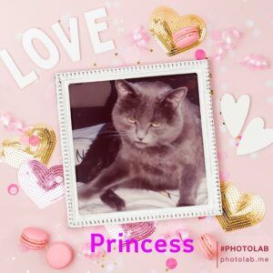 Princess4