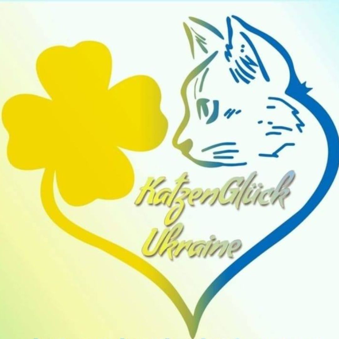 Read more about the article Beispiel Katze