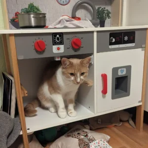 Rot-weisse Katze sitzt in einer Kinder-Puppenküche