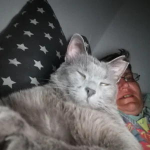 Graue Katze liegt mit einer Frau im Bett und schläft und kuschelt