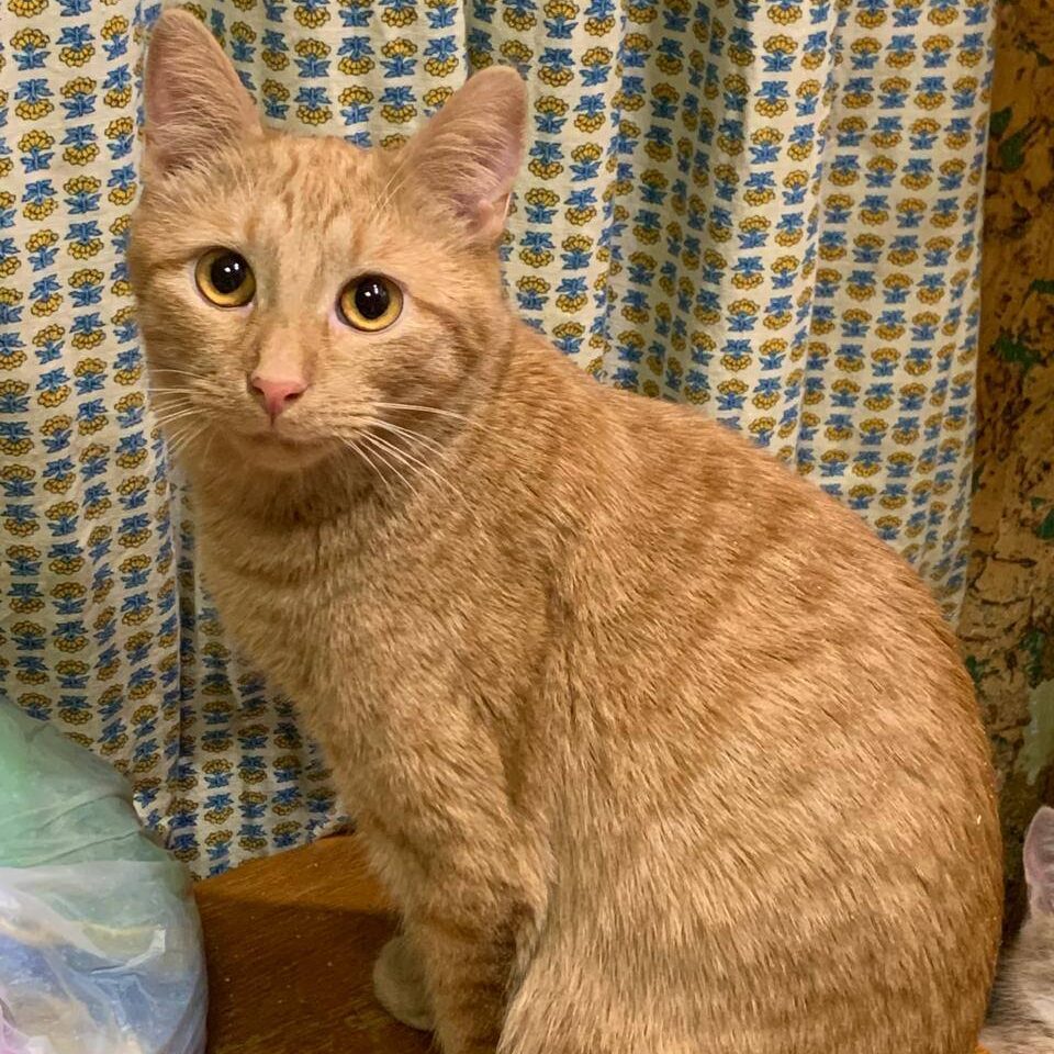 Read more about the article Jon