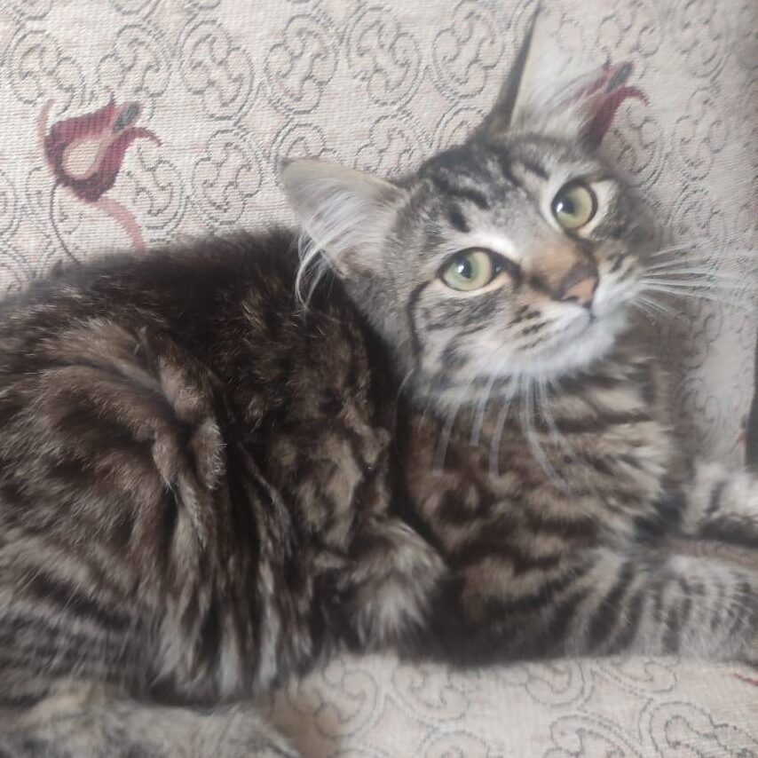 Read more about the article Erna