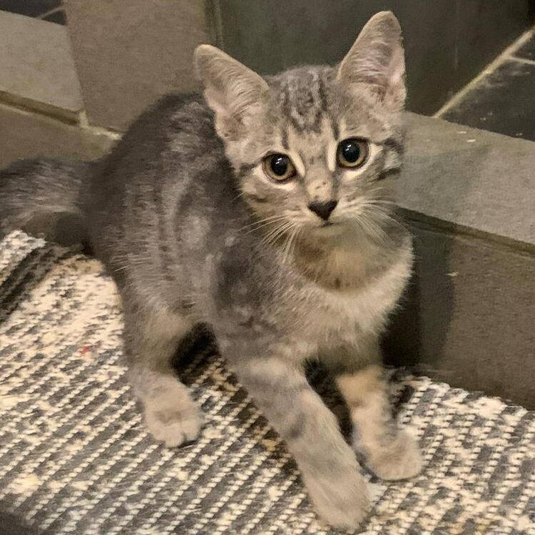 Read more about the article Xinn