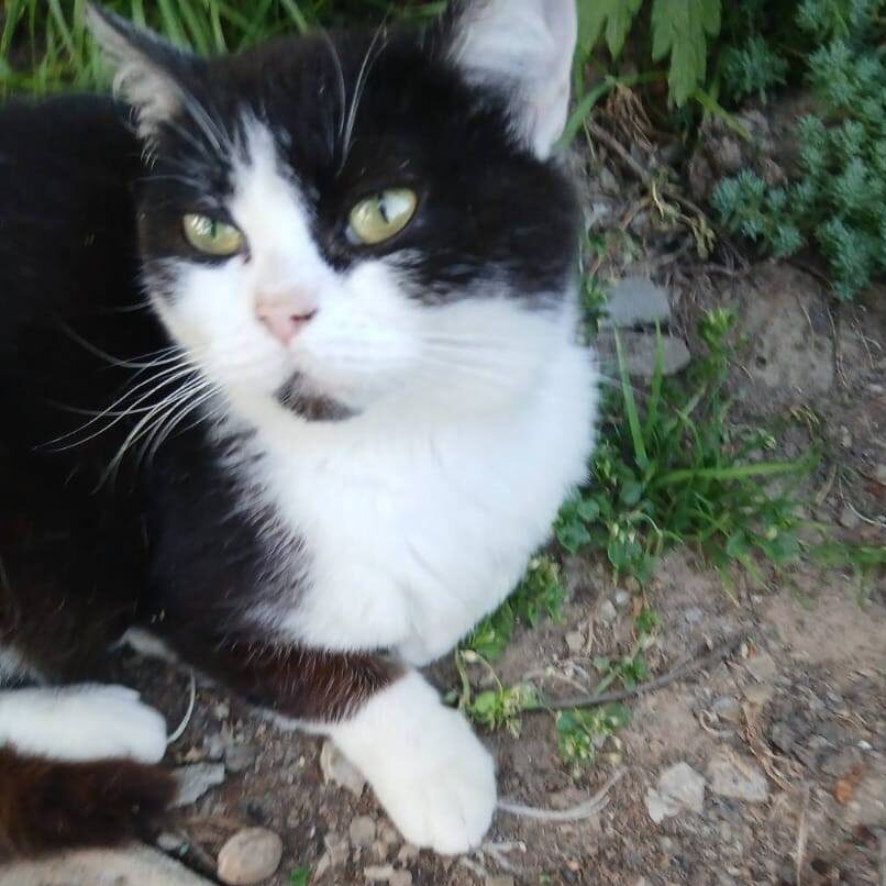 Read more about the article Shusha