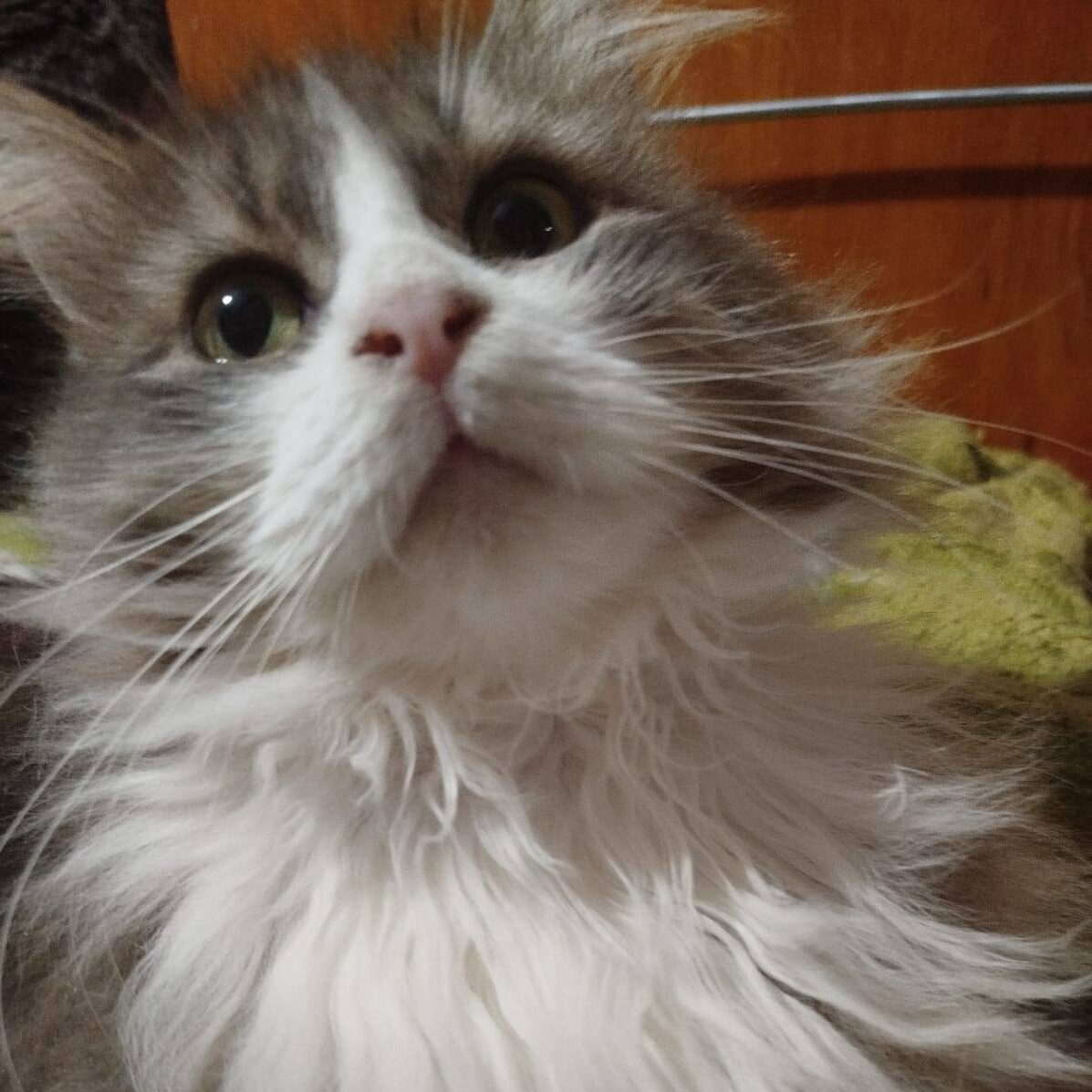 Read more about the article Bucs