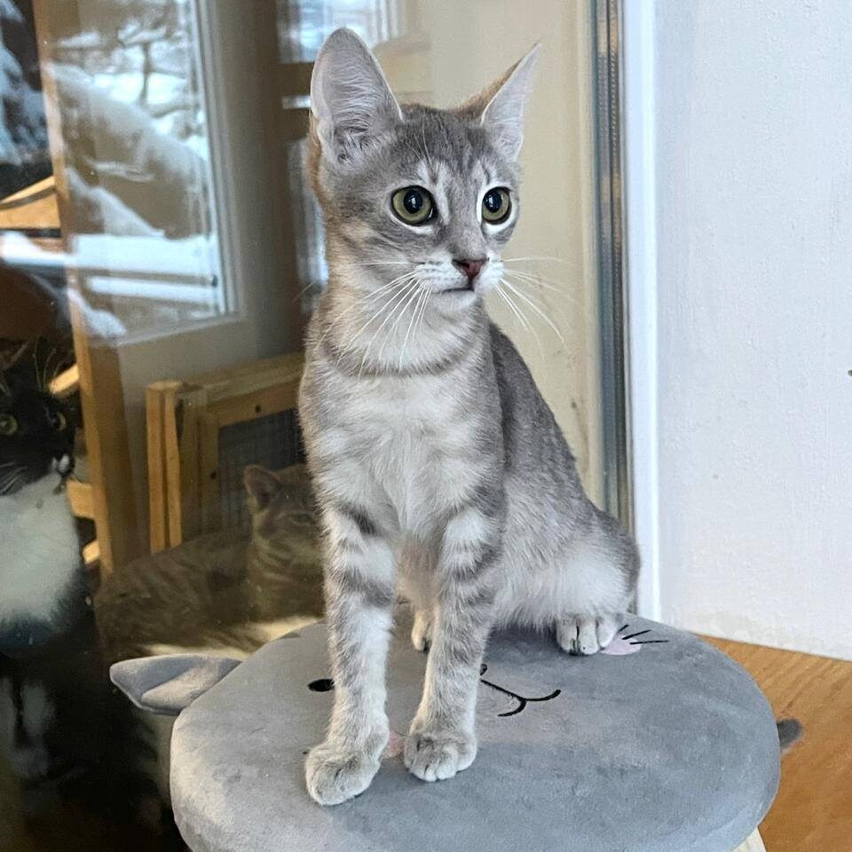 Read more about the article Osaka