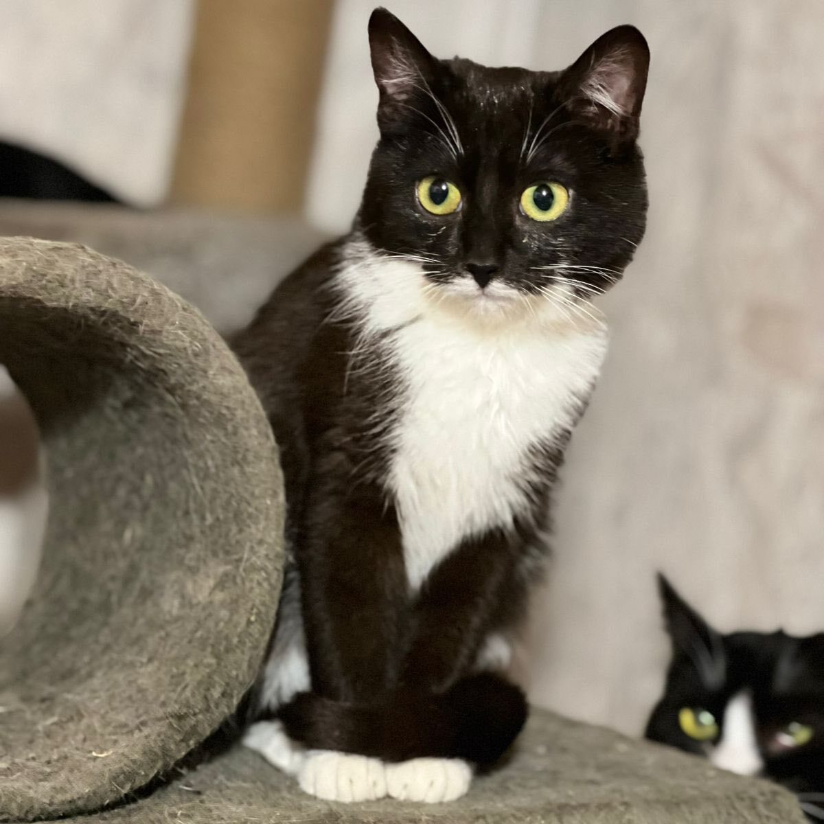 Read more about the article Ruby